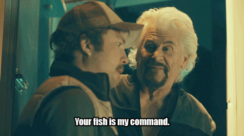 cmt GIF by Still The King