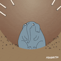 GIF by CsaK
