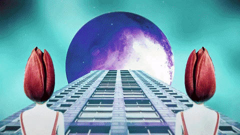 Girl Flowers GIF by Feeder