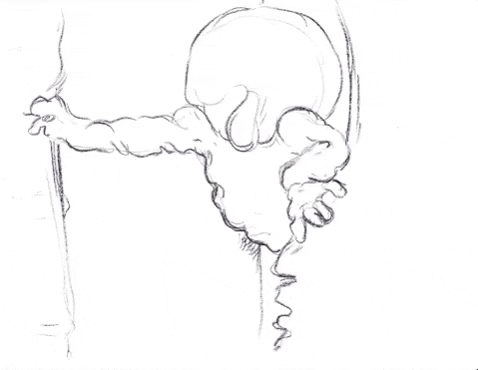 Studio Mill GIF by Alex Boya