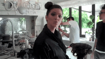 kendall jenner kardashian GIF