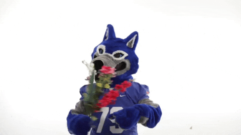 spring gowest GIF by University of West Georgia