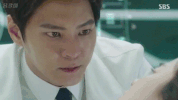 pal GIF