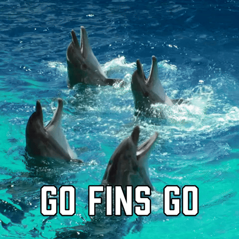 Go Fins Go
