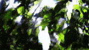 Art Design GIF by jorgemariozuleta