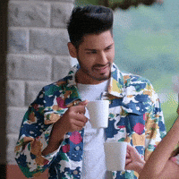 Roadies GIF