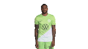 Happy Football Sticker by VfL Wolfsburg