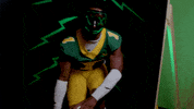 Bison GIF by NDSU Athletics