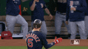 Regular Season Sport GIF by MLB