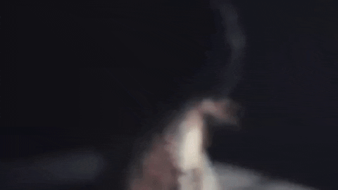 Malikdjoudi GIF by Wagram Music