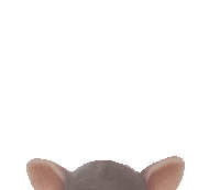 MamaStore mamastore magicmanufactory Sticker