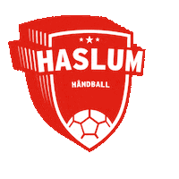 Handball Sticker by Haslum HK