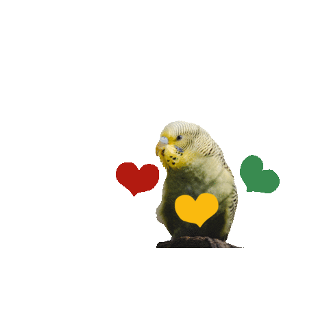 TierparkSababurg giphyupload love heart bird Sticker