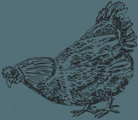GIF by Weston Table