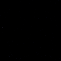 Goal Hockey GIF by Eisbären Berlin