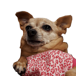 Sticker by Design4 web solutions