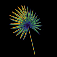 Music Festival Hula GIF by Suwannee Hulaween