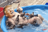 Trimp GIF by PEEKASSO