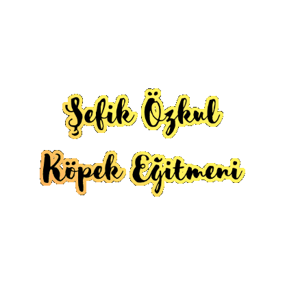 Sticker by Sefik Ozkul