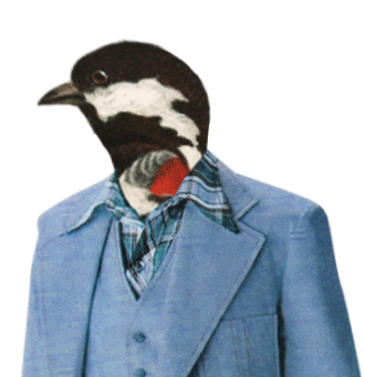 Fun Sticker Sticker by Ryan Seslow