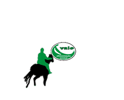 Racing Team Roping Sticker by Rações Vale