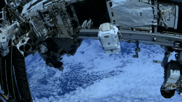 Astronaut Just Chilling GIF by NASA