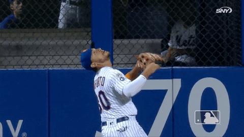 Ny Mets Catch GIF by New York Mets