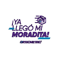Orthometric insiders orthometric insidersdoctors moradita Sticker
