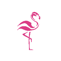 Flamingo Flamingobrand Sticker by Updfq