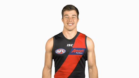 essendonfc giphyupload dons bombers essendon GIF