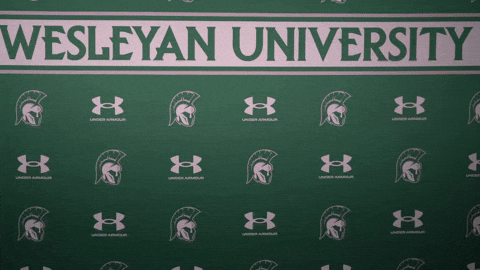 Iwuwvb24 GIF by iwusports