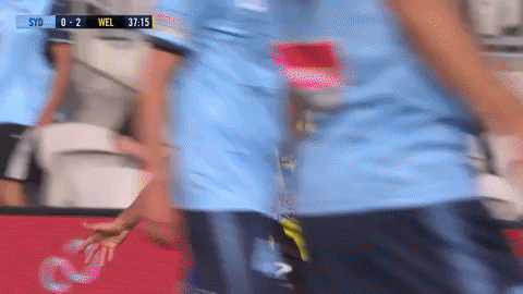 WPX giphyupload celebration goal sydney GIF