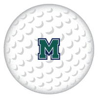 Hurstathletics Sticker by MercyhurstU