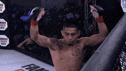 lightsoutxf excited mma waving fighting GIF