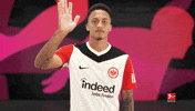 Bye Bye Frankfurt GIF by Bundesliga