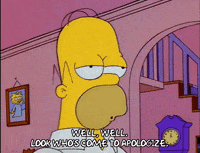 homer simpson apology GIF