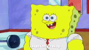 season 9 GIF by SpongeBob SquarePants