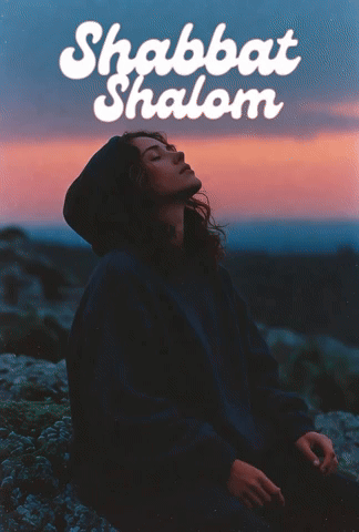 teamofmonkeys giphyupload beach miami shabbat GIF