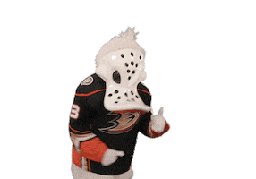 Ice Hockey Sticker by NHL