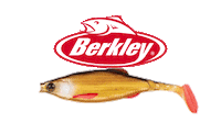 Pulse Pike Sticker by Catch More Fish