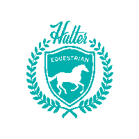 Horse Sticker by HalterEquestrianApparel