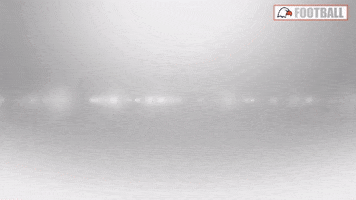 Cnfb GIF by Carson-Newman Athletics