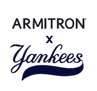 armitronwatches sports baseball ball nyc Sticker