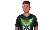 Party Reaction Sticker by VfL Wolfsburg