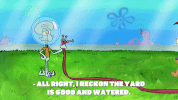 season 9 squid defense GIF by SpongeBob SquarePants