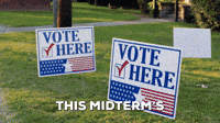 You Wanna Hit This Booty? Gotta Do Your Civic Duty