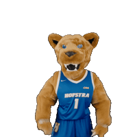 New York Basketball Sticker by Hofstra University