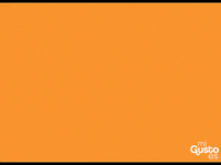 sonora mariscos GIF by Mi Gusto Es