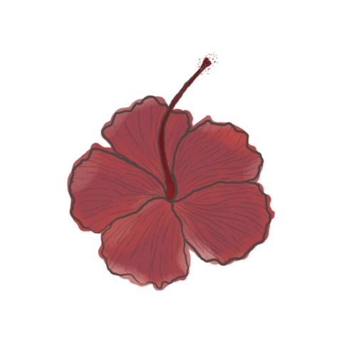 Ile Maurice Flower Sticker