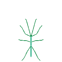 Stick Insect Sticker by entomologando